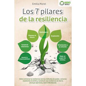 Los 7 pilares de la...