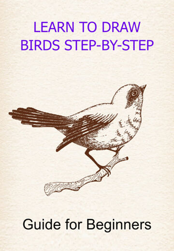 Learn To Draw Birds...