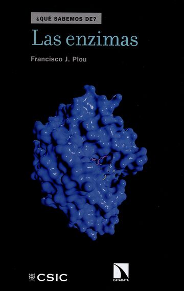 Las enzimas