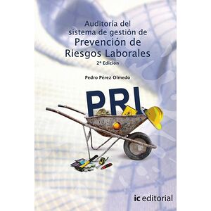 Auditoría del Sistema de...