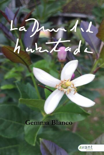 La divinidad habitada