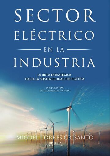 Sector eléctrico en la...