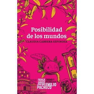 Posibilidad de los mundos