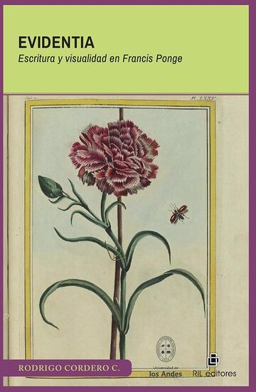 Evidentia. Escritura y...