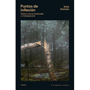 Puntos de inflexión