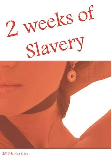 2 weeks of slavery