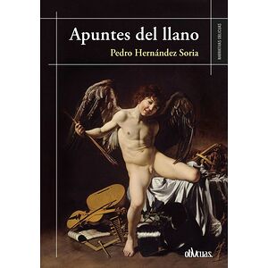 Apuntes del llano