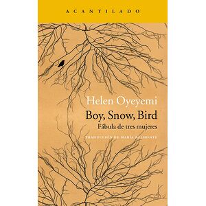 Boy, Snow, Bird