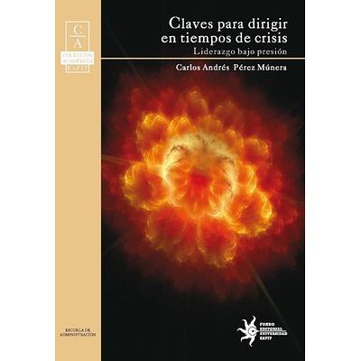 Claves para dirigir en...