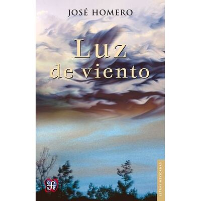 Luz de viento