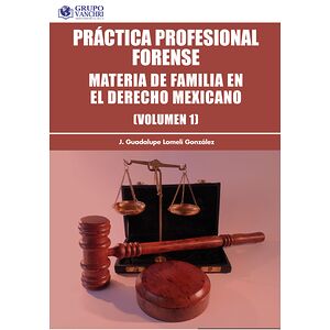 Práctica profesional...