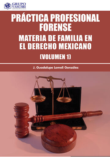 Práctica profesional...