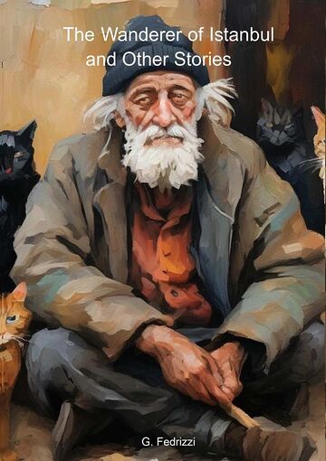 The Wanderer Of Istanbul...