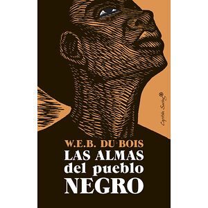 Las almas del pueblo negro