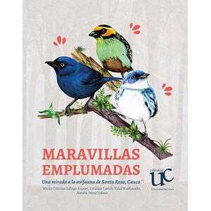 Maravillas Emplumadas