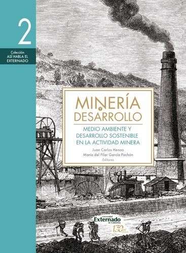 Minería y desarrollo. Tomo 2