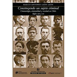 Construyendo al sujeto...