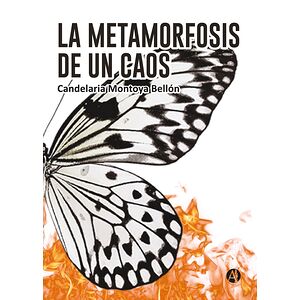 Metamorfosis de un caos