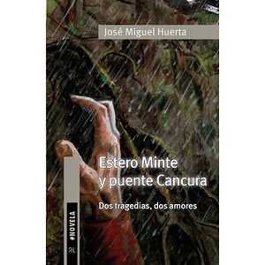 Estero Minte y puente...