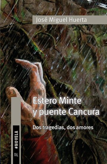 Estero Minte y puente...