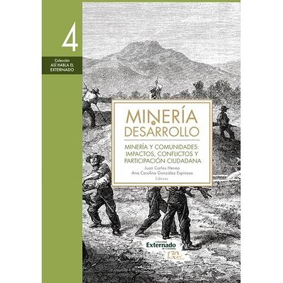 Minería y desarrollo. Tomo 4