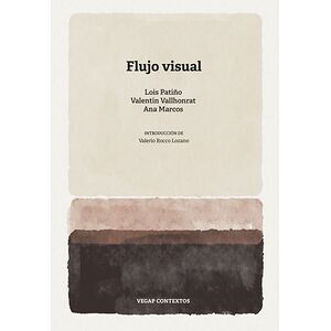 Flujo visual