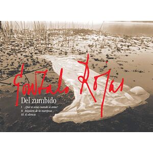 Del zumbido