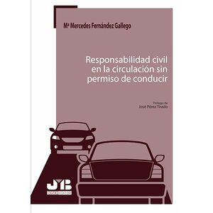 Responsabilidad civil en la...
