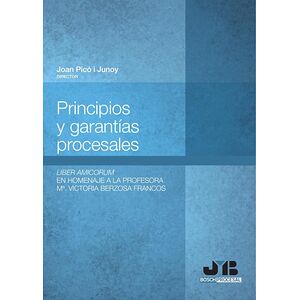 Principios y garantías...
