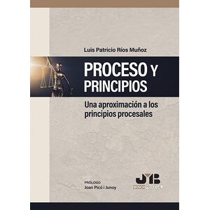 Proceso y Principios