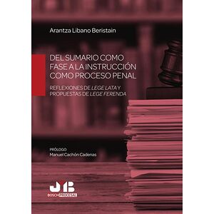 Del sumario como fase a la...