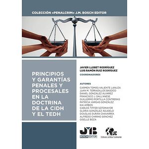 Principios y garantías...