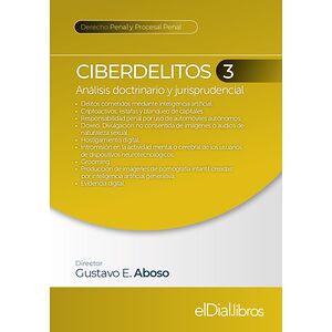 Ciberdelitos 3