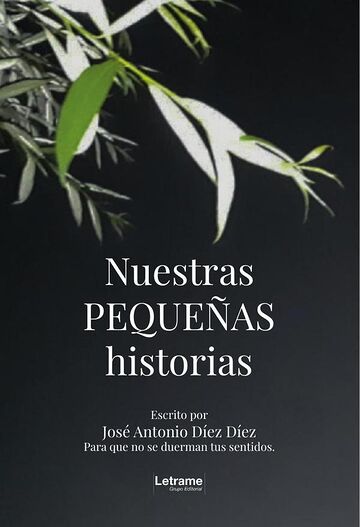 Nuestras pequeñas historias