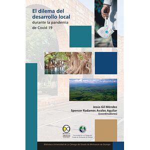 El dilema del desarrollo...