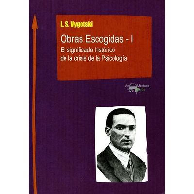 Obras Escogidas de Vygotski...