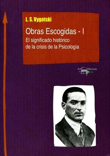 Obras Escogidas de Vygotski...
