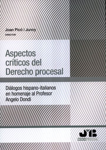 Aspectos críticos del...