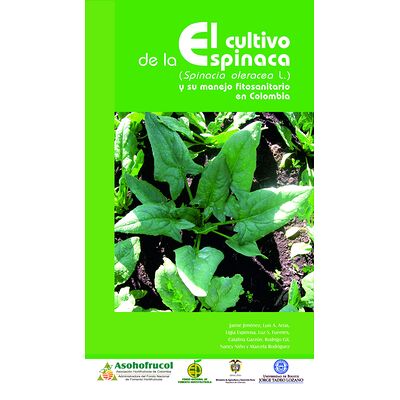 El cultivo de la espinaca y...