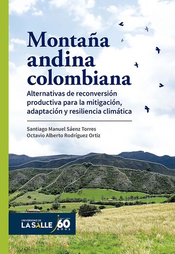 Montaña andina colombiana....