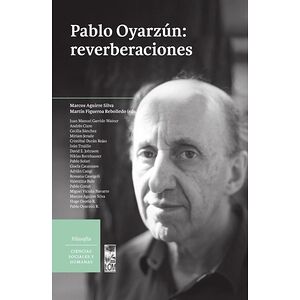 Pablo Oyarzun: reverberaciones