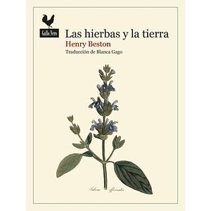 Las hierbas y la tierra