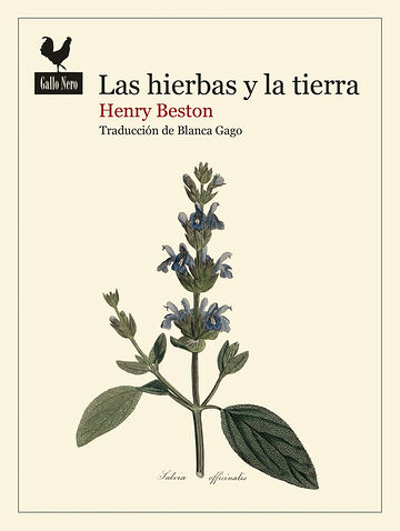 Las hierbas y la tierra