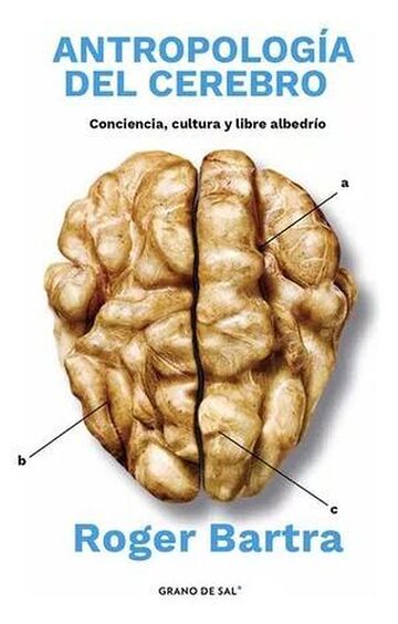 Antropología del cerebro....