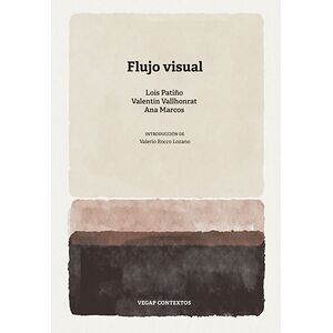 Flujo visual