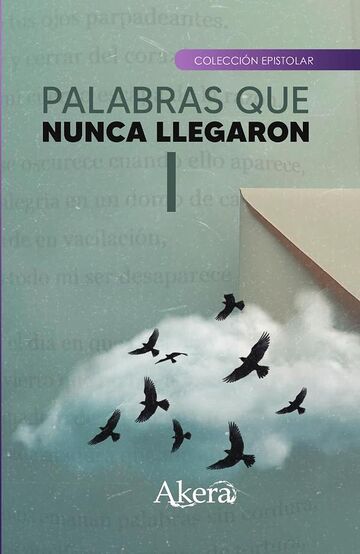 Palabras que nunca llegaron I