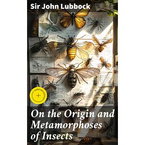 On the Origin and...
