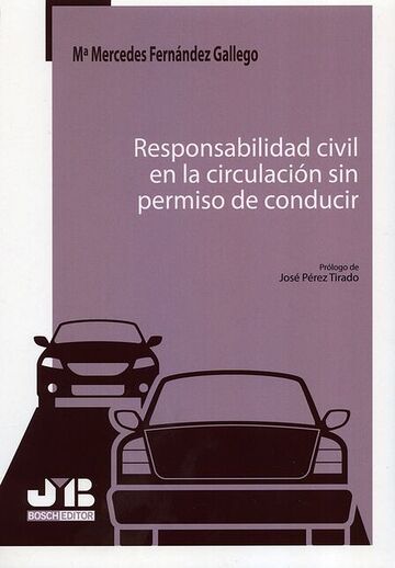 Responsabilidad civil en la...