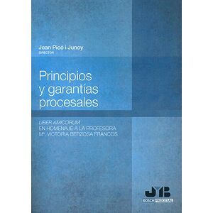 Principios y garantías...