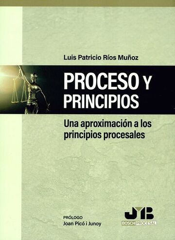 Proceso y Principios